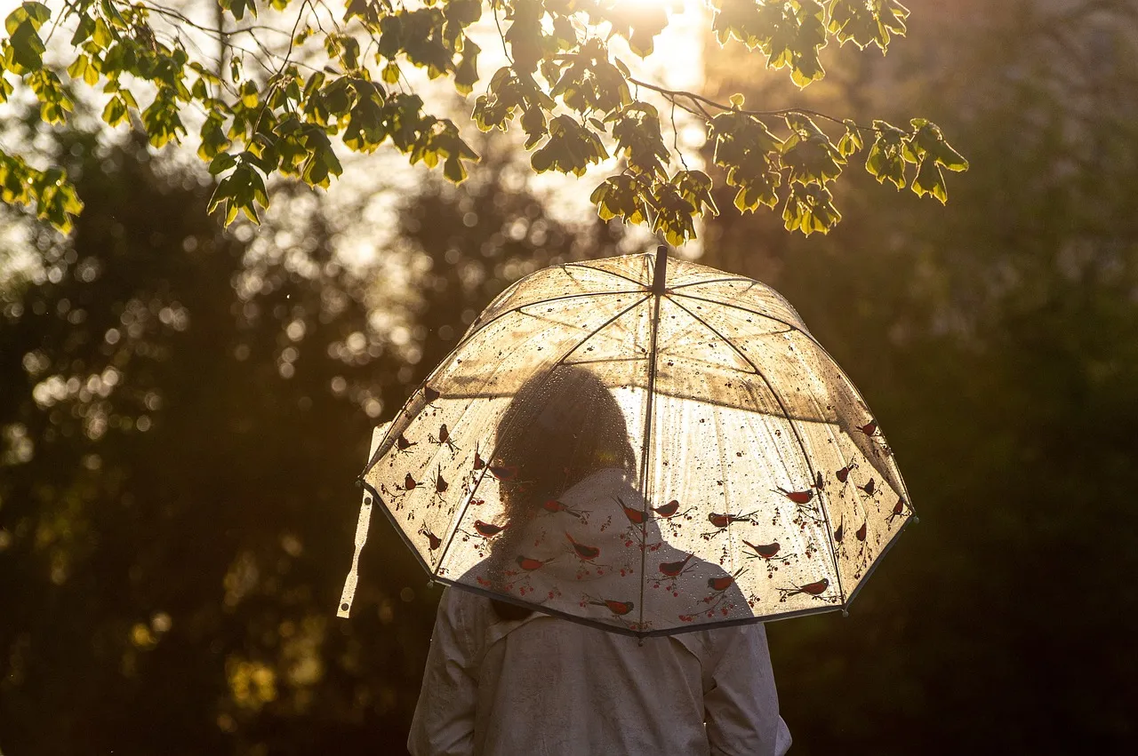 umbrella 6239364 1280 paraplu regen zon 12138562 from pixabay