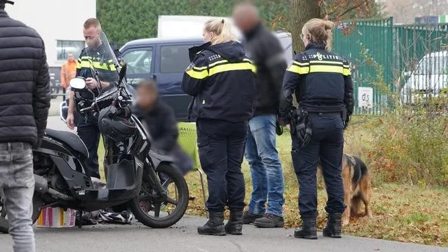 valpartijscooterhond