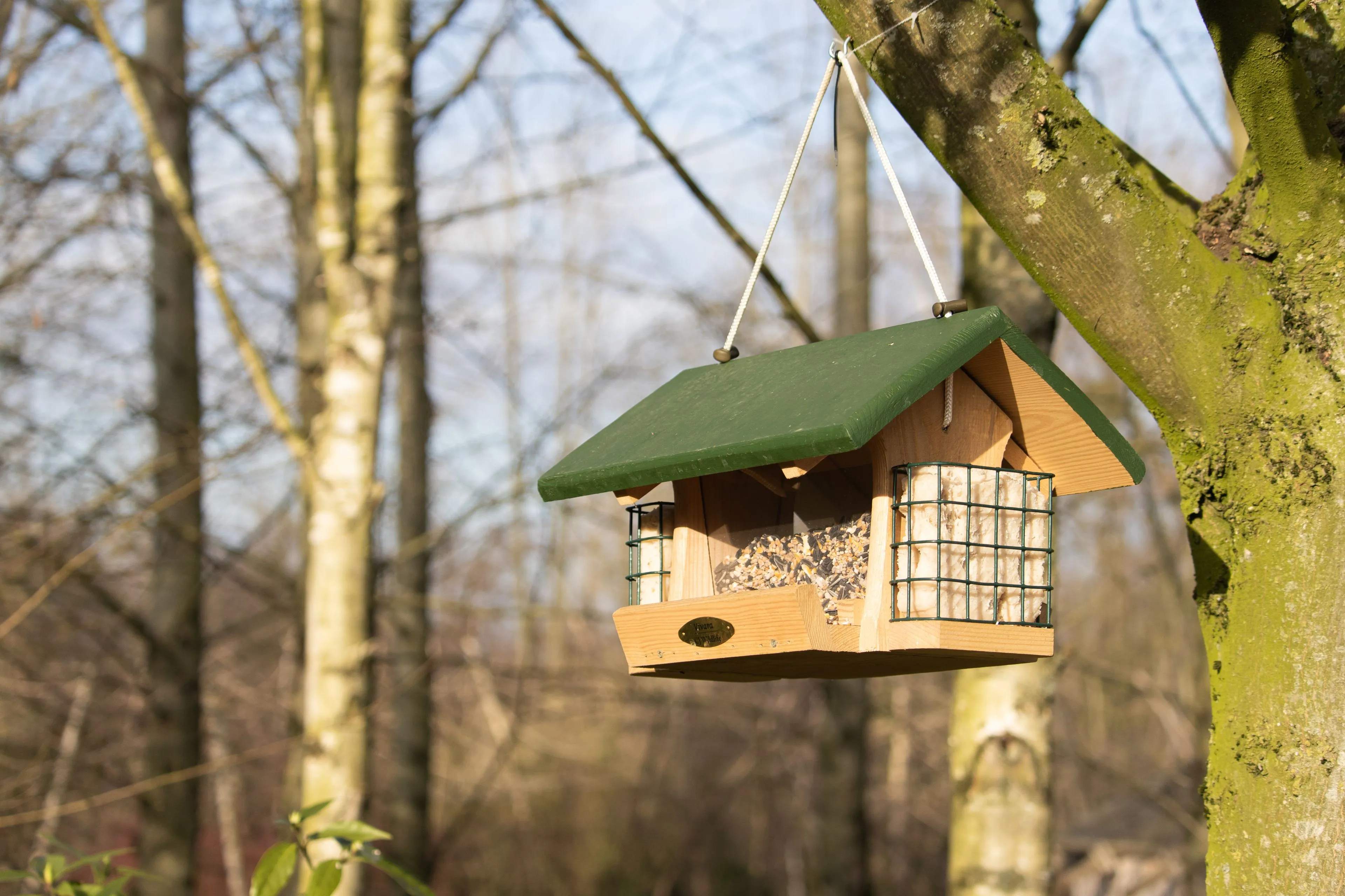 closeup shot hanging bird feeder shape house
