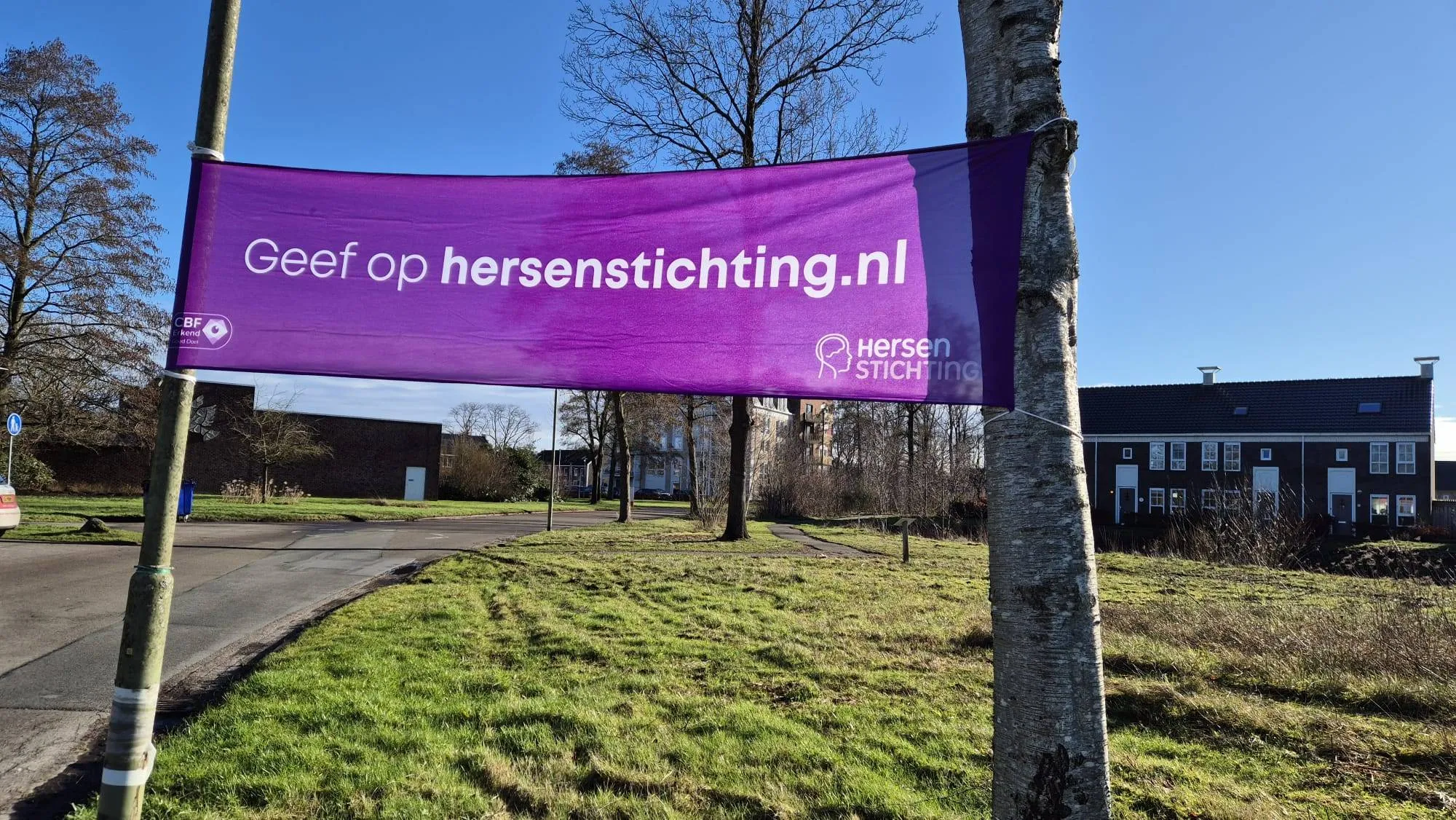 afbeelding van whatsapp op 2025 01 26 om 123334 b1f00a1d