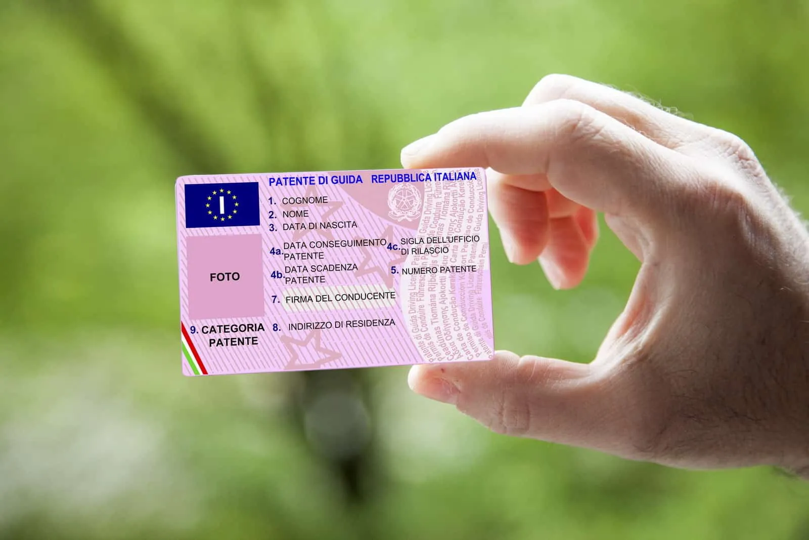 patente italiana rosa tenuta da una mano con sfondo piante verdi