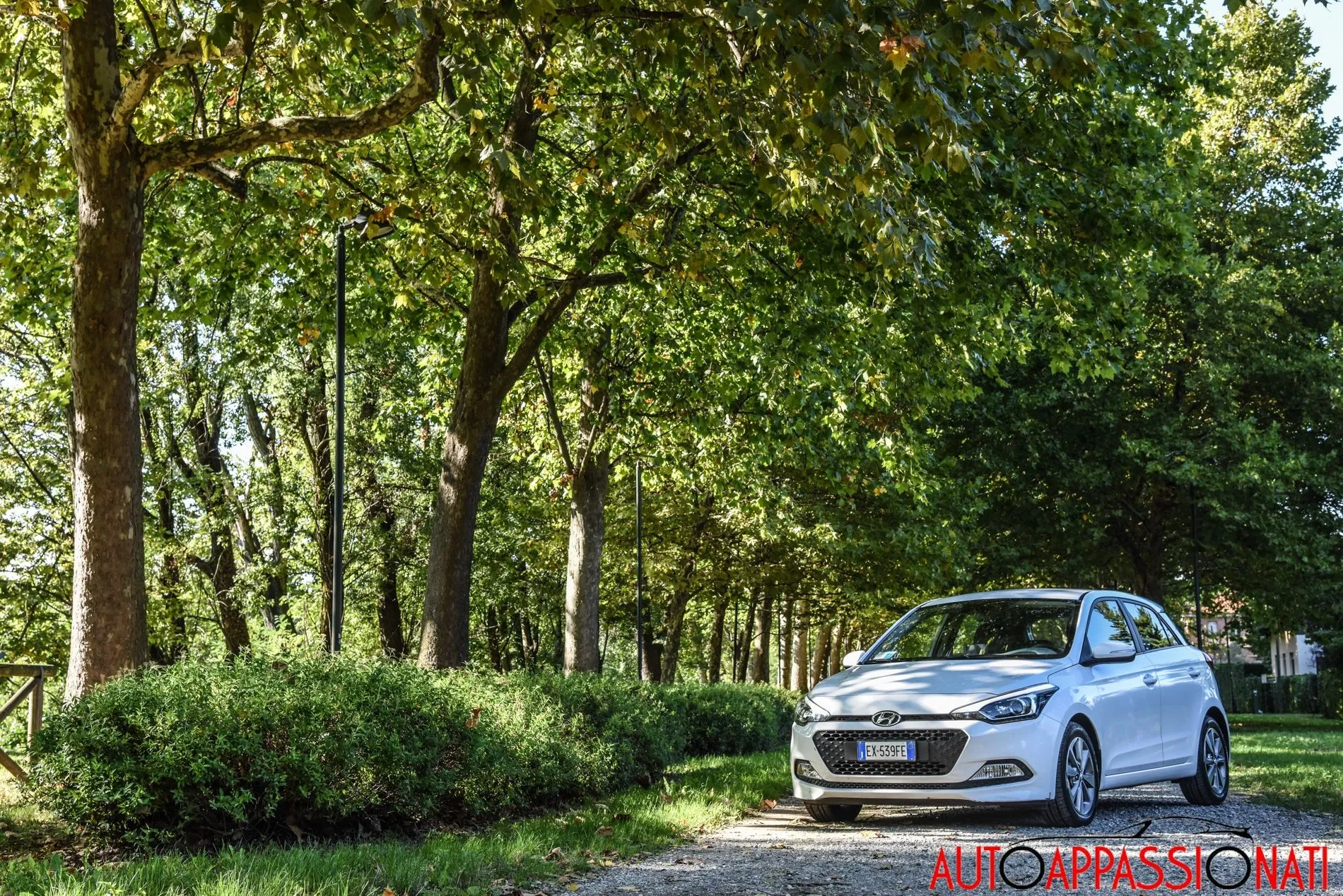 2c657423cf87cc677c9986ceb9cdc574