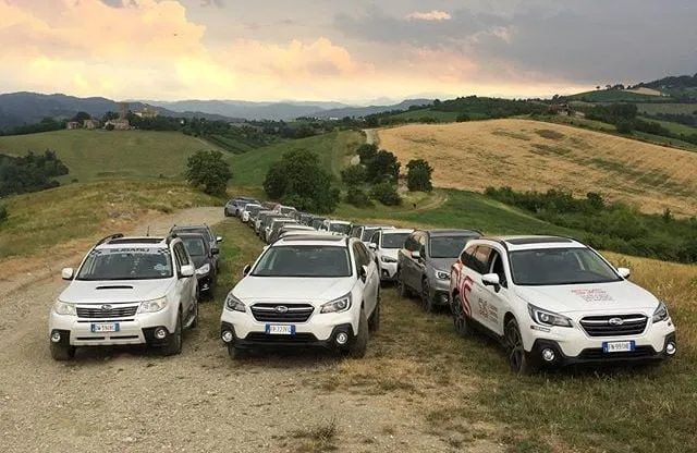 36757829 1706924879363335 3560574231081123840 n