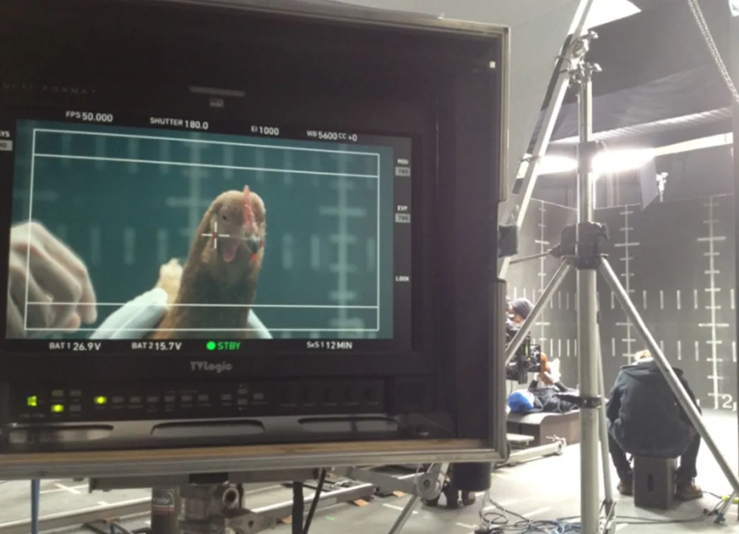 561af1deac8d5a5b87657b519639ad36