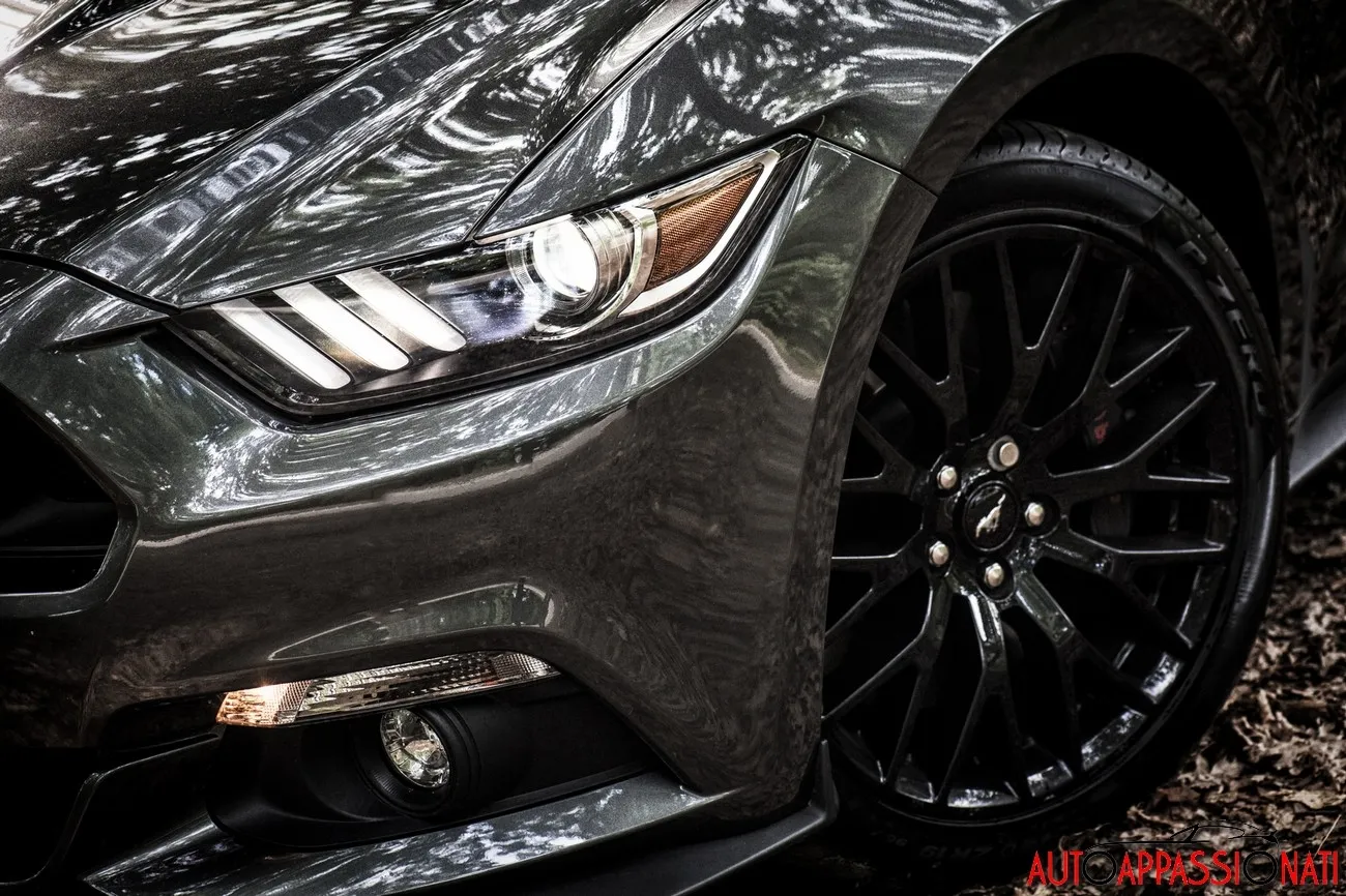 97983a6111a2cfe16619eb6c81b7c8f7