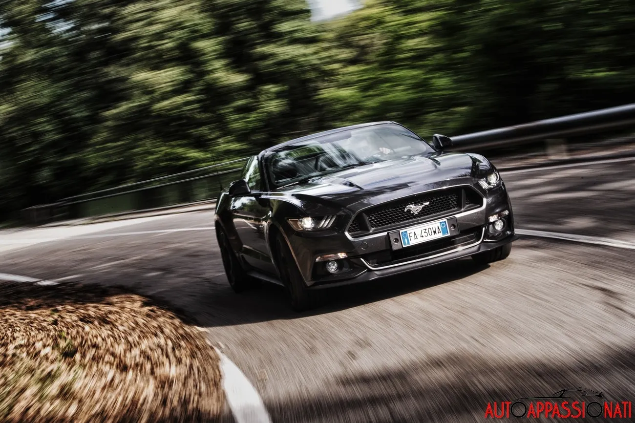 a241219a16838c4f1c4a4d6836c364cf