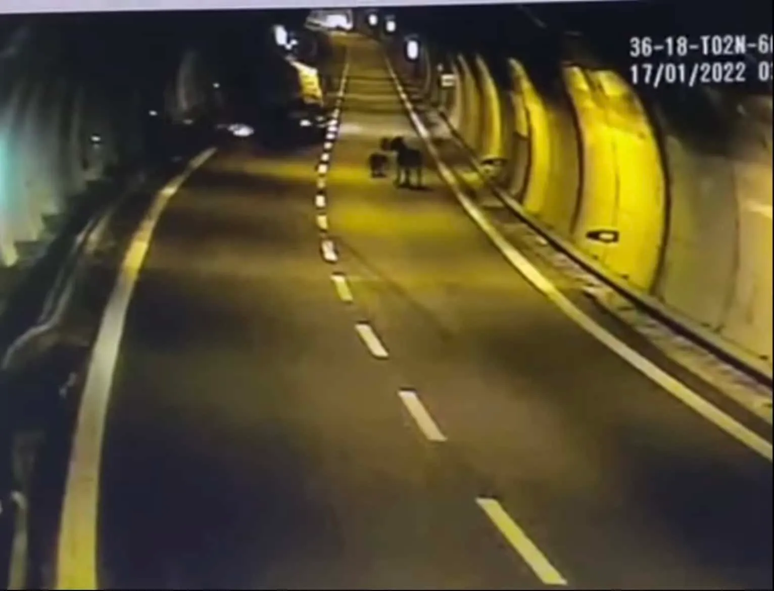 a47123e4 44a1 4368 952b 4fc97dbb78de