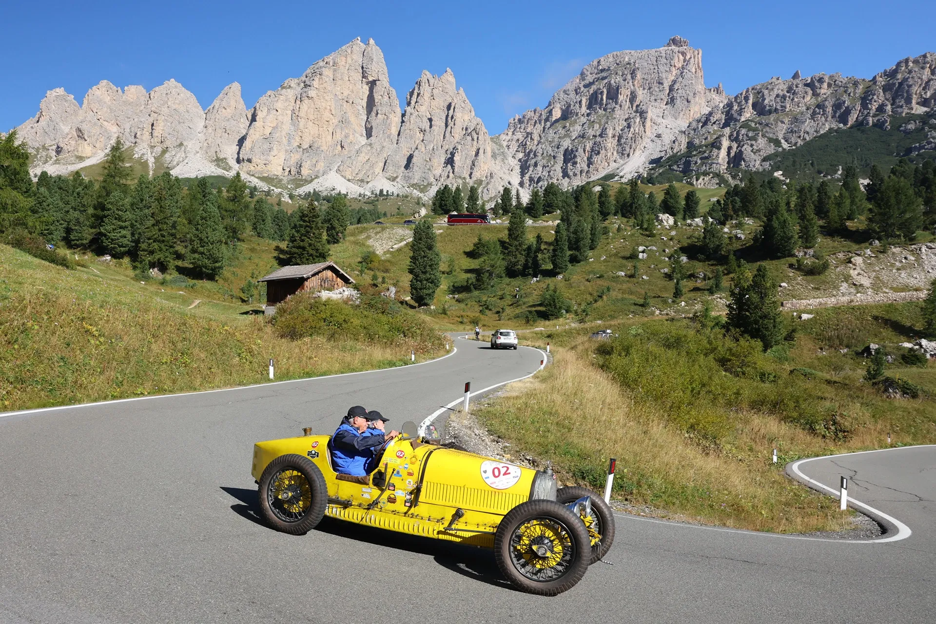 asi stella alpina 2023 05