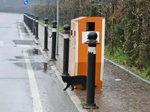 autovelox gatti neri