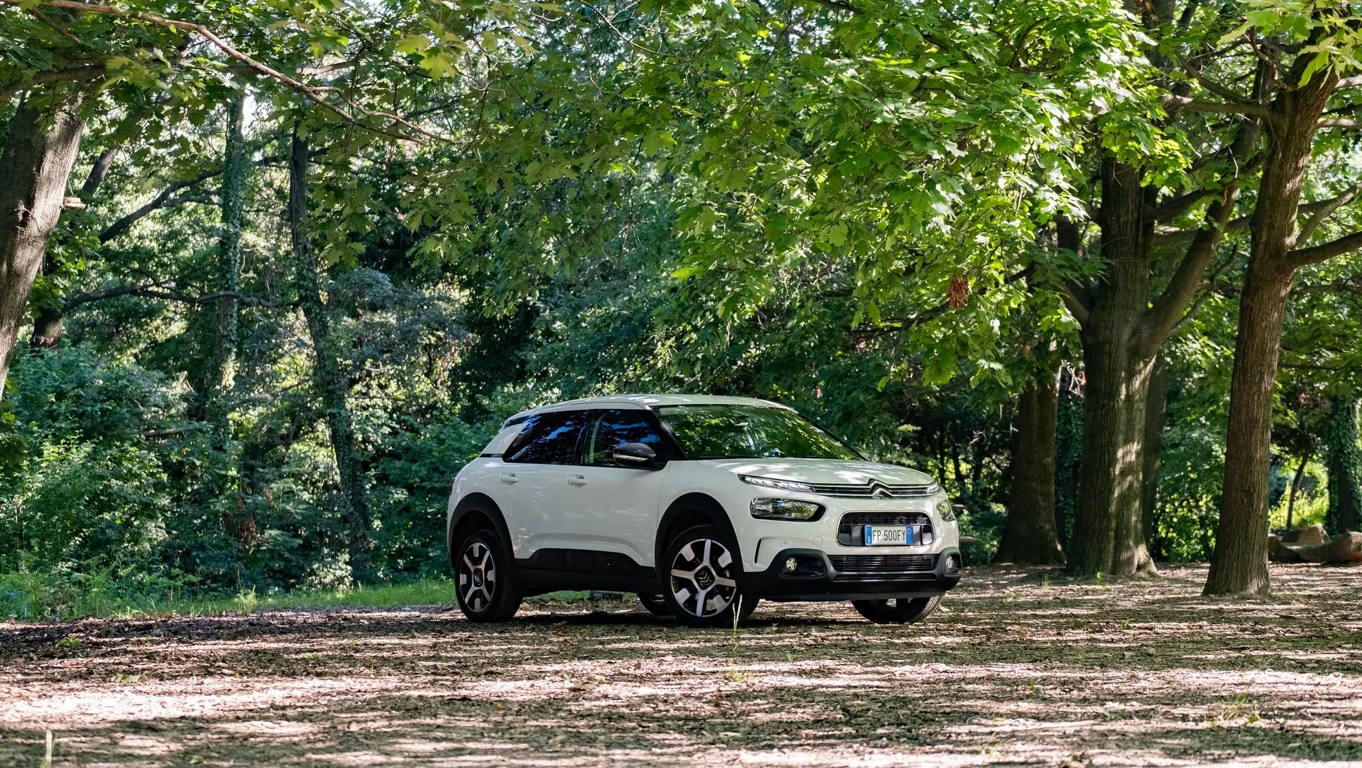 citroen c4 cactus 10