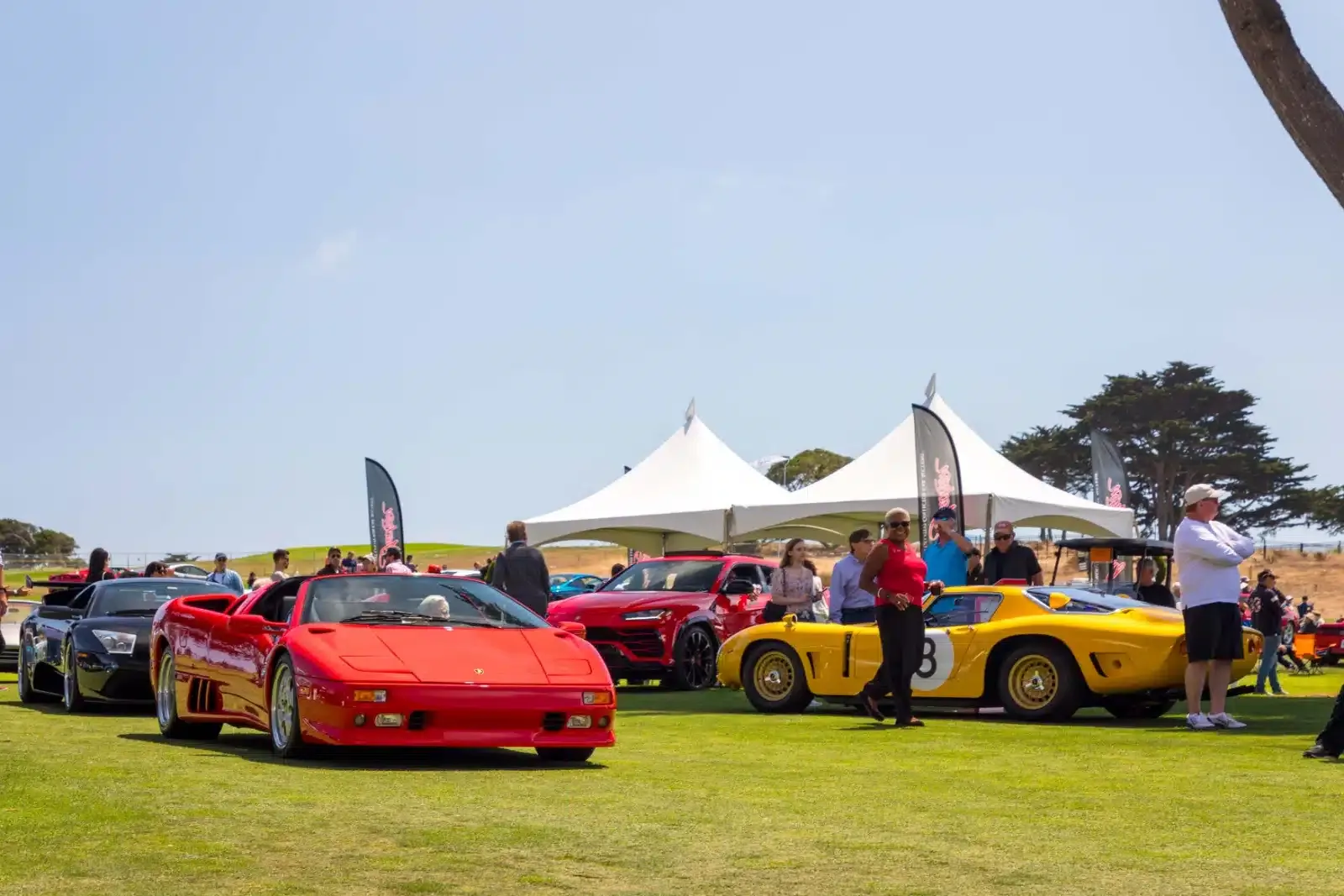 concorso 2 0181 1