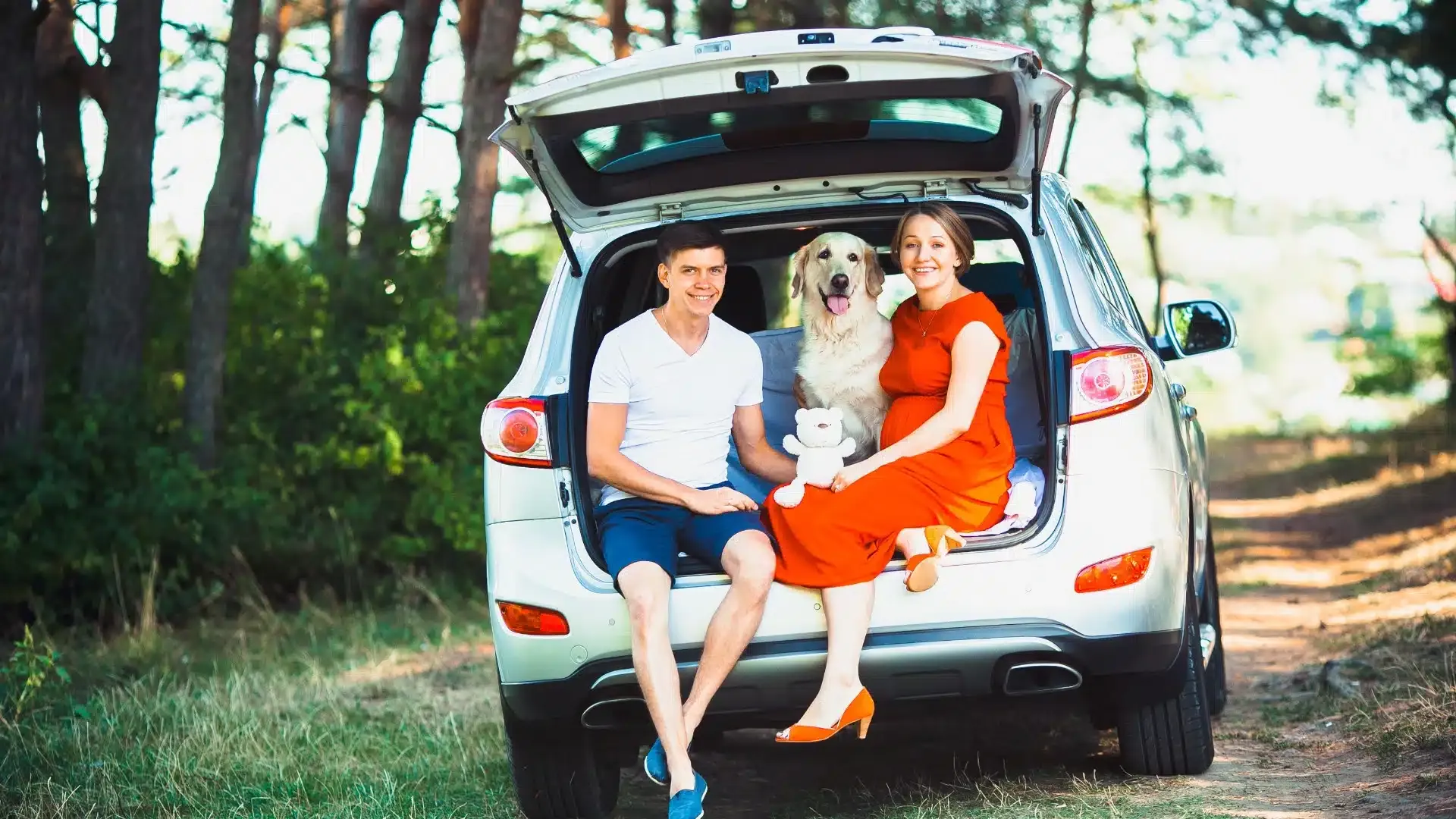 consigli per viaggiare in auto con animali domestici e leggi regolamenti