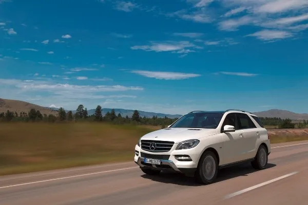 d37b40f764b14a89e2058a44f05a96b6