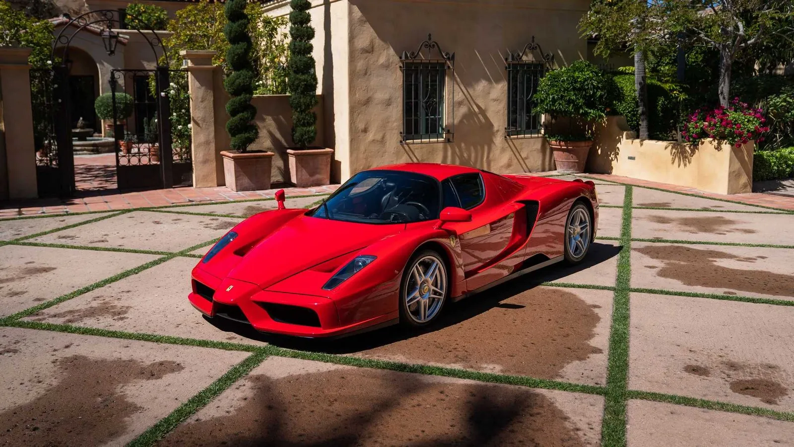 ferrari enzo