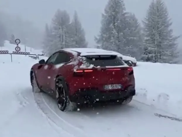 ferrari purosangue neve