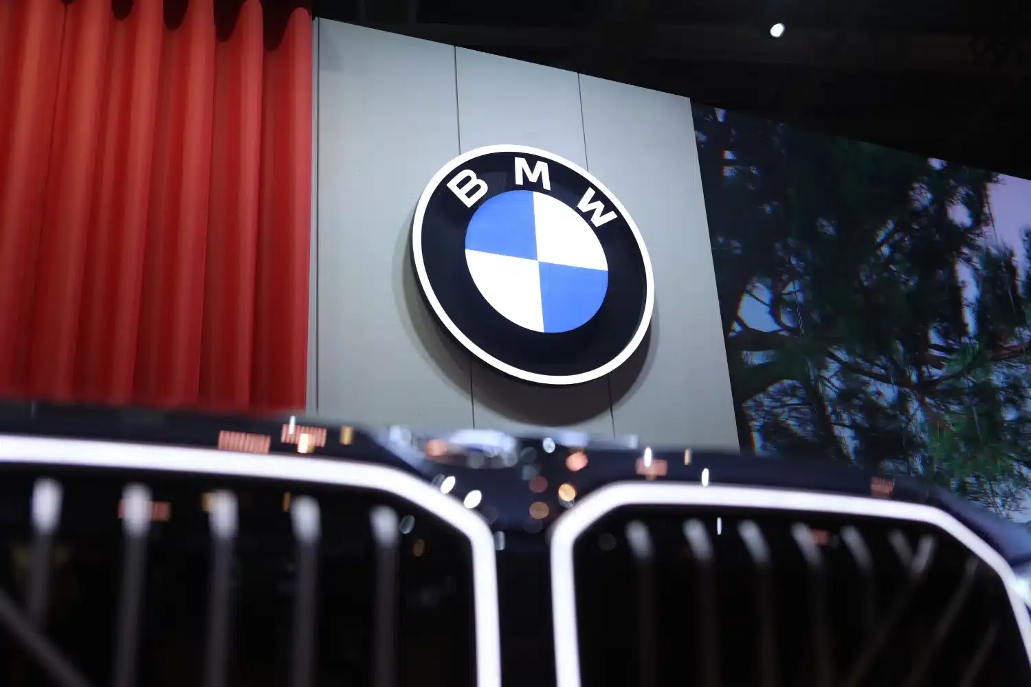 immagine whatsapp 2024 10 14 ore 182524 d438a8de