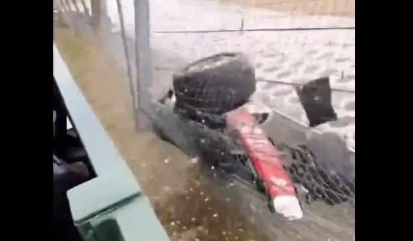 incidente zhou video tribuna