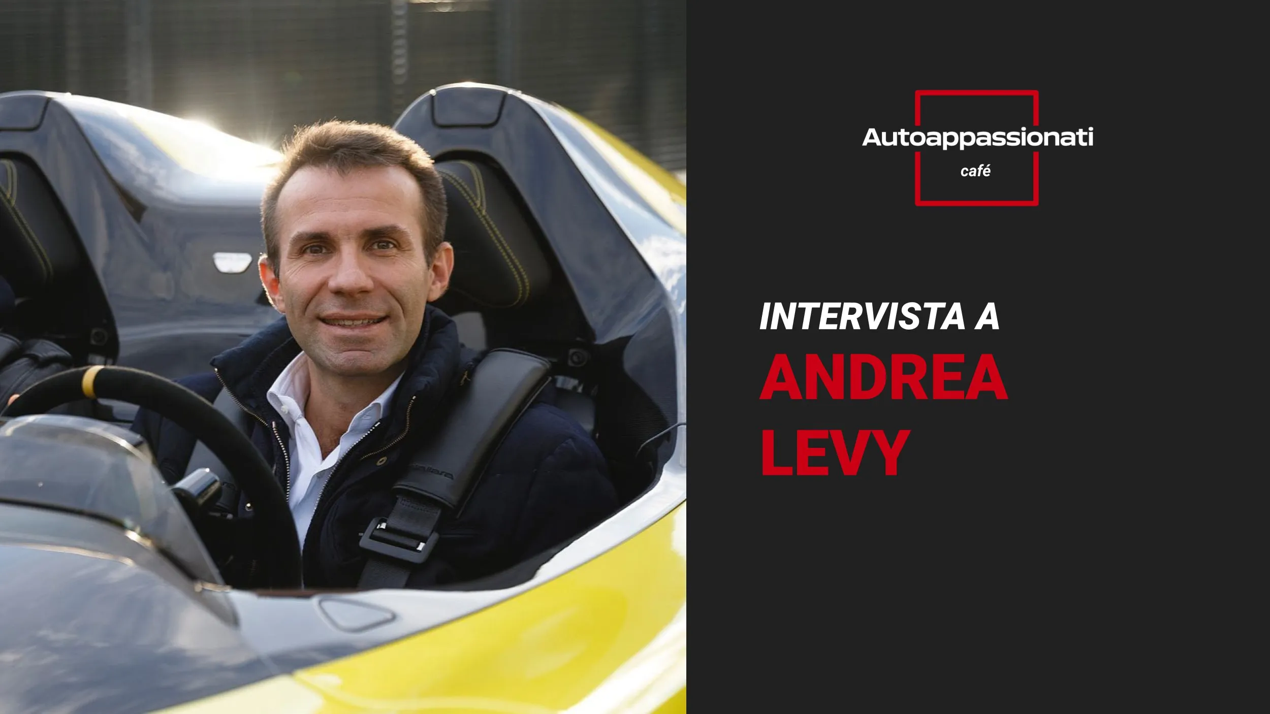 intervista andrea levy