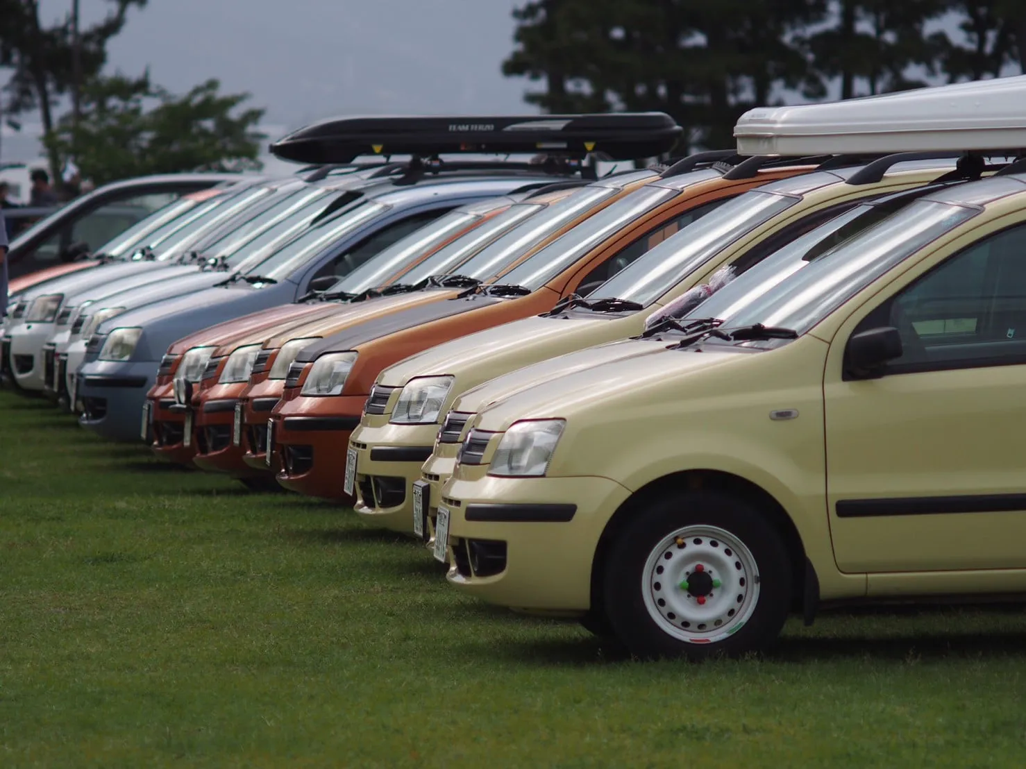 line album 230605 292