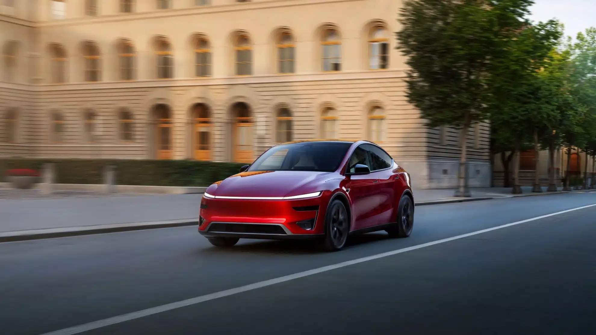 model y performance 81