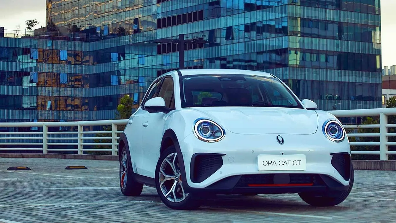 ora good cat autonomia