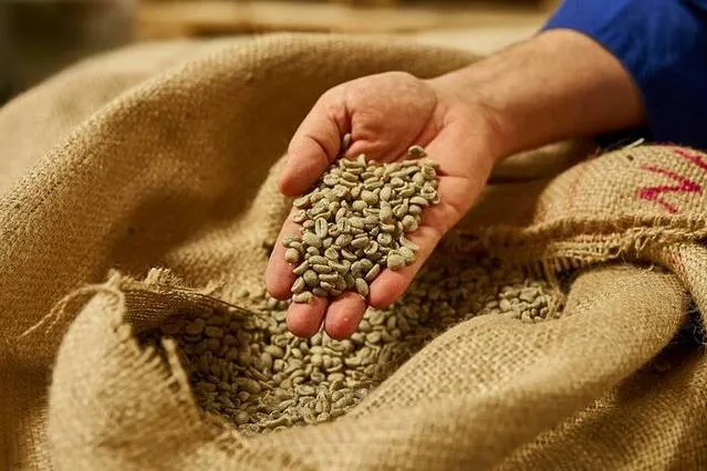 pelle dagli scarti del caffe