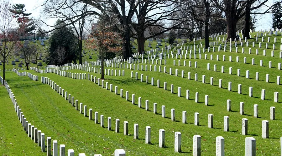 rows of headstones