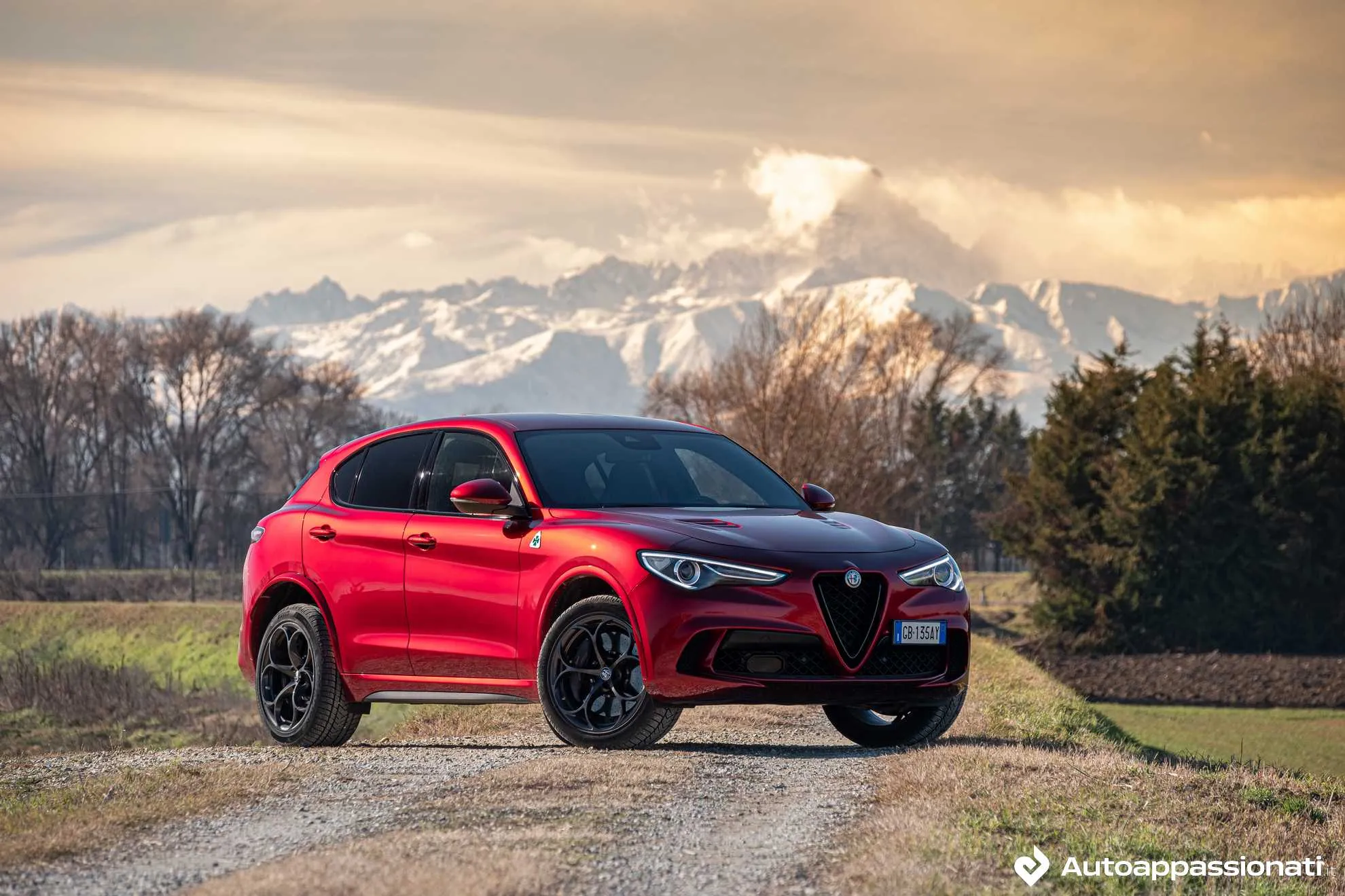 stelvio quadrifoglio 2021