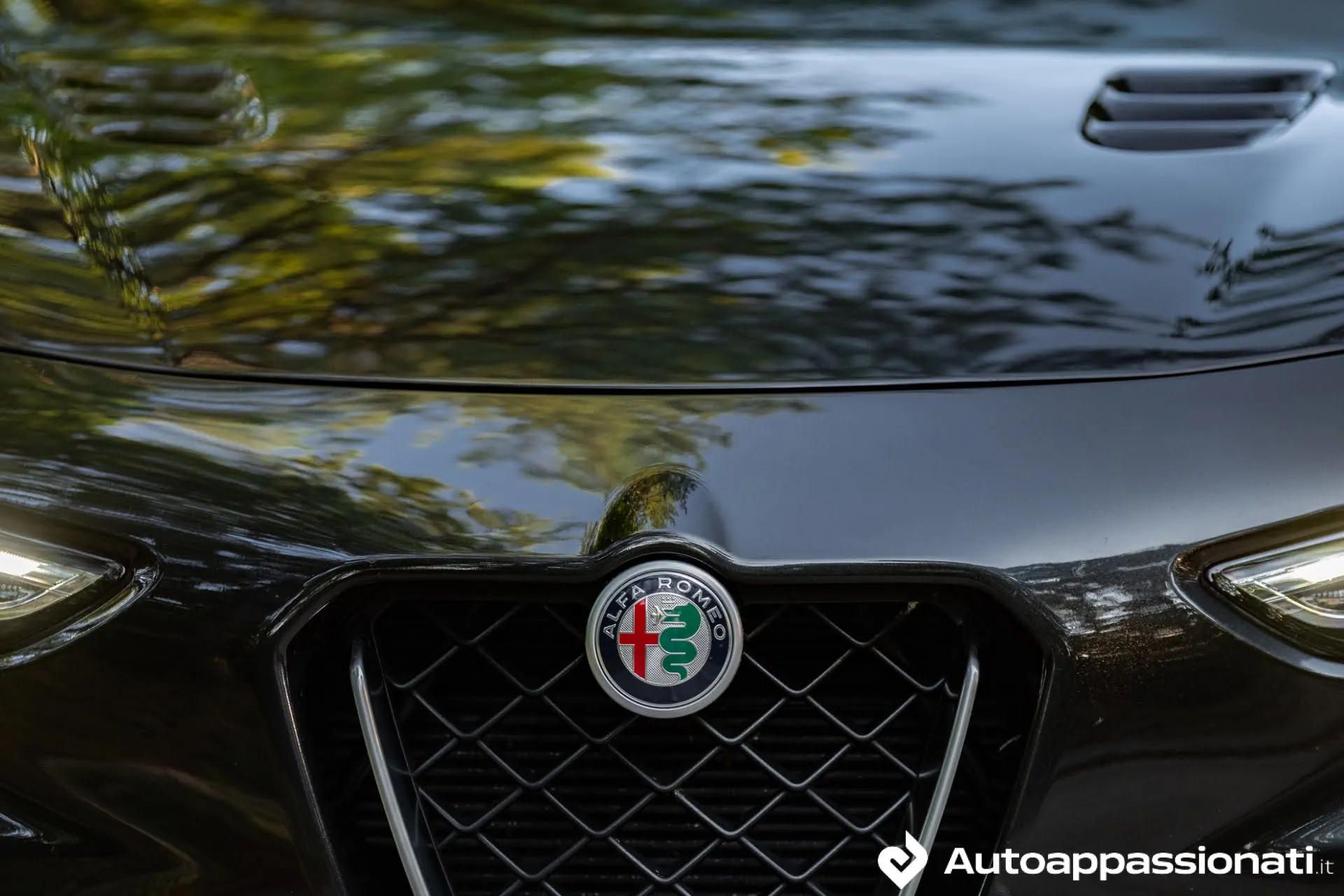 stelvio quadrifoglio 34