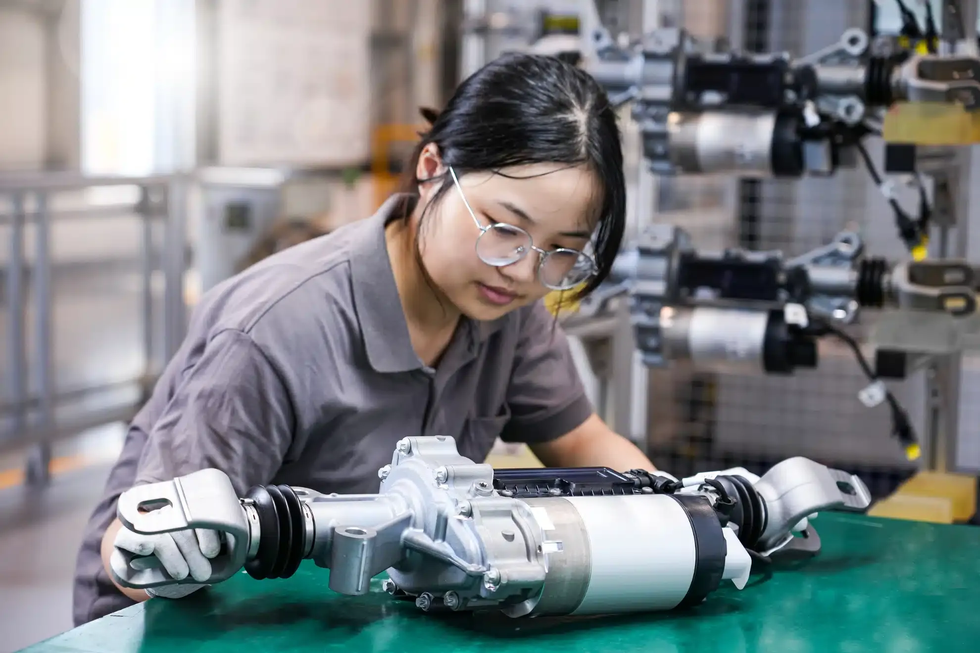 sterzo posteriore schaeffer