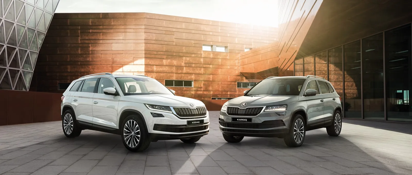 visual kodiaq karoq stech 1 per 30 gennaio