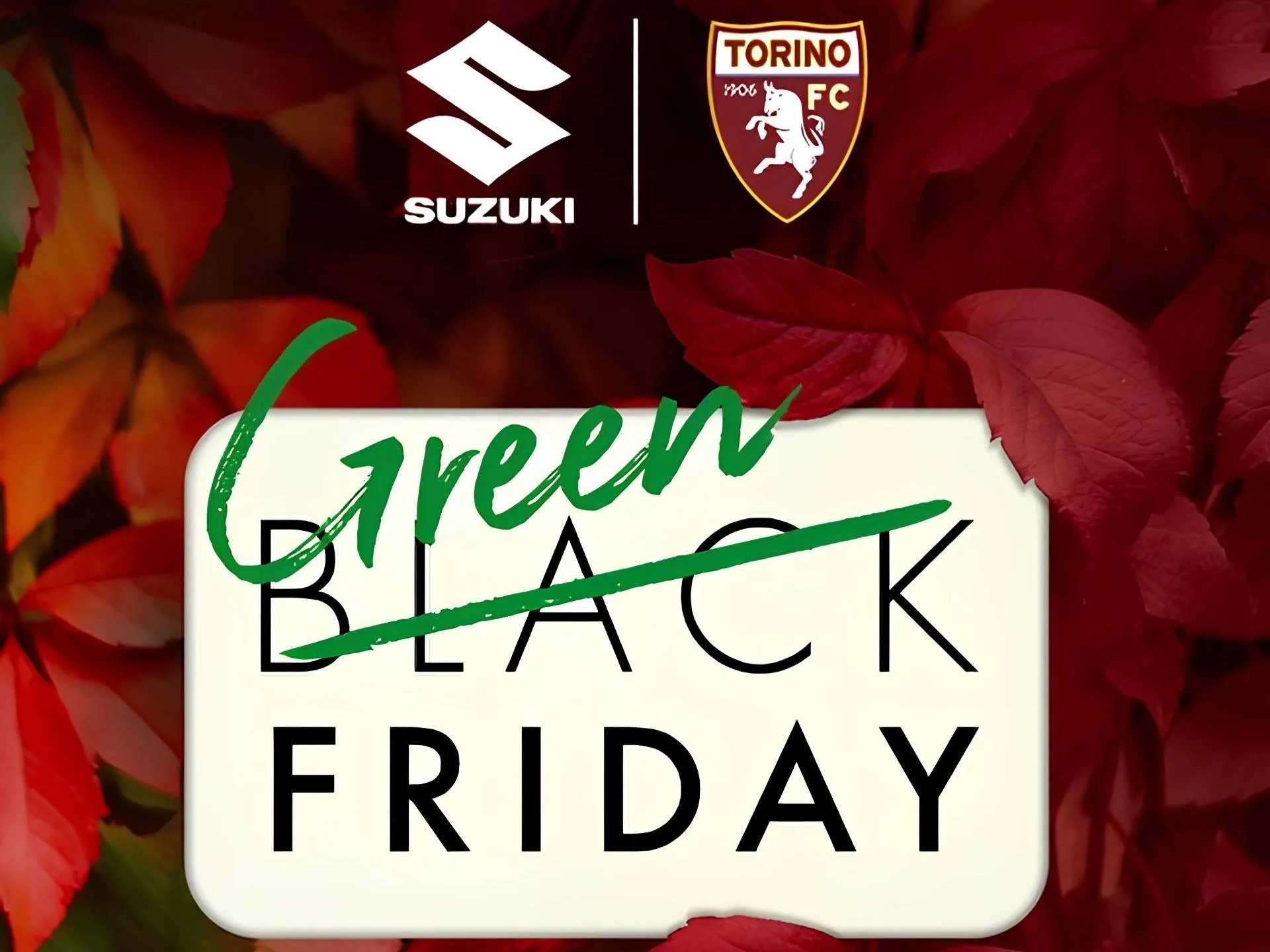 Green Friday Suzuki