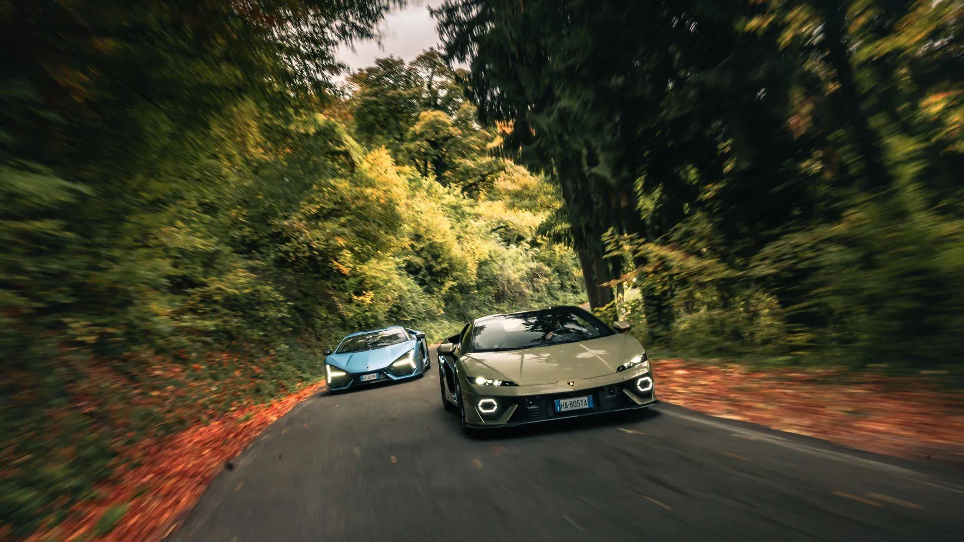 due lamborghini, temerario e revuelto verde e azzurra che percorrono una dietro l'altra la strada tra gli alberi