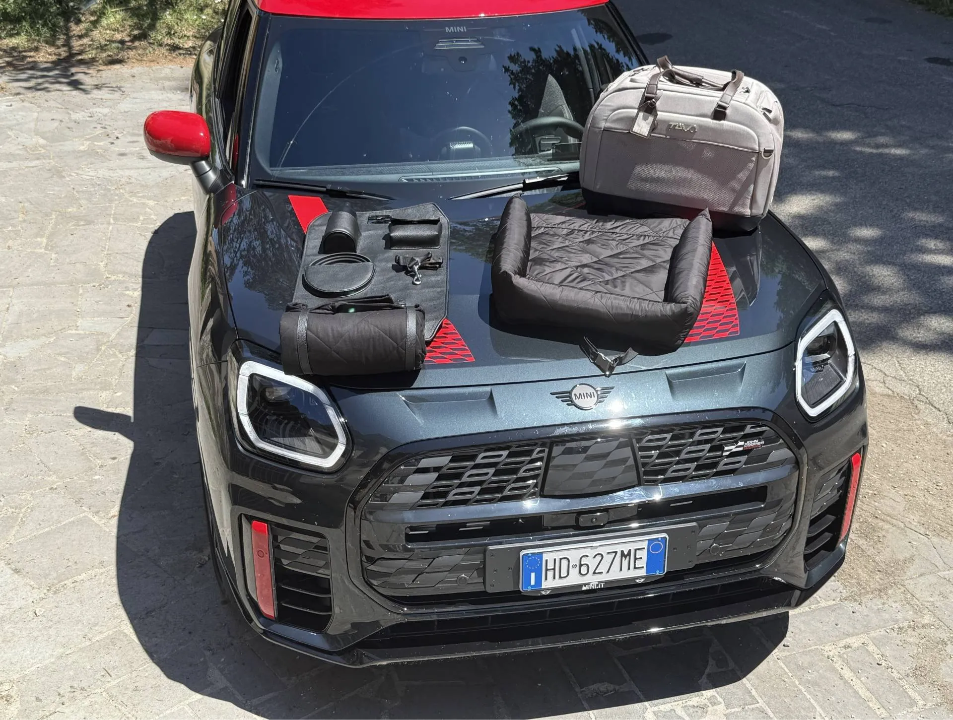 Mini cani in auto