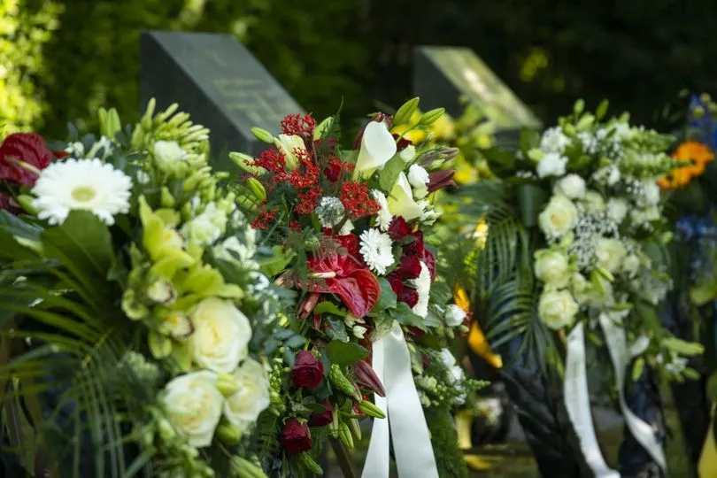 182291628 5696594013713872 8403342487680459530 n