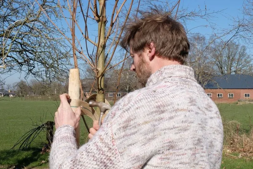 288622499 337024021949951 3296680333793867390 n