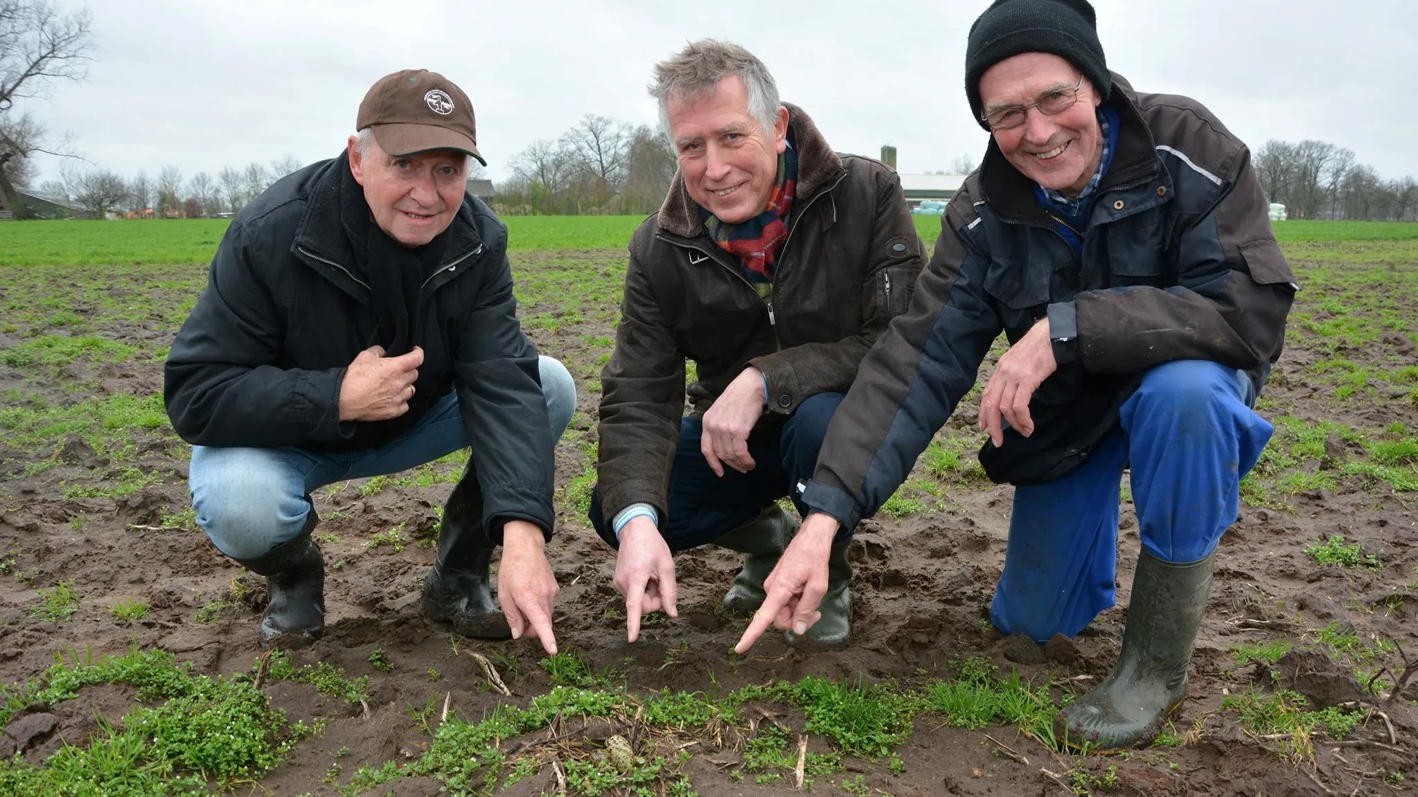 54230737 2786387518067884 880525788112224256 o