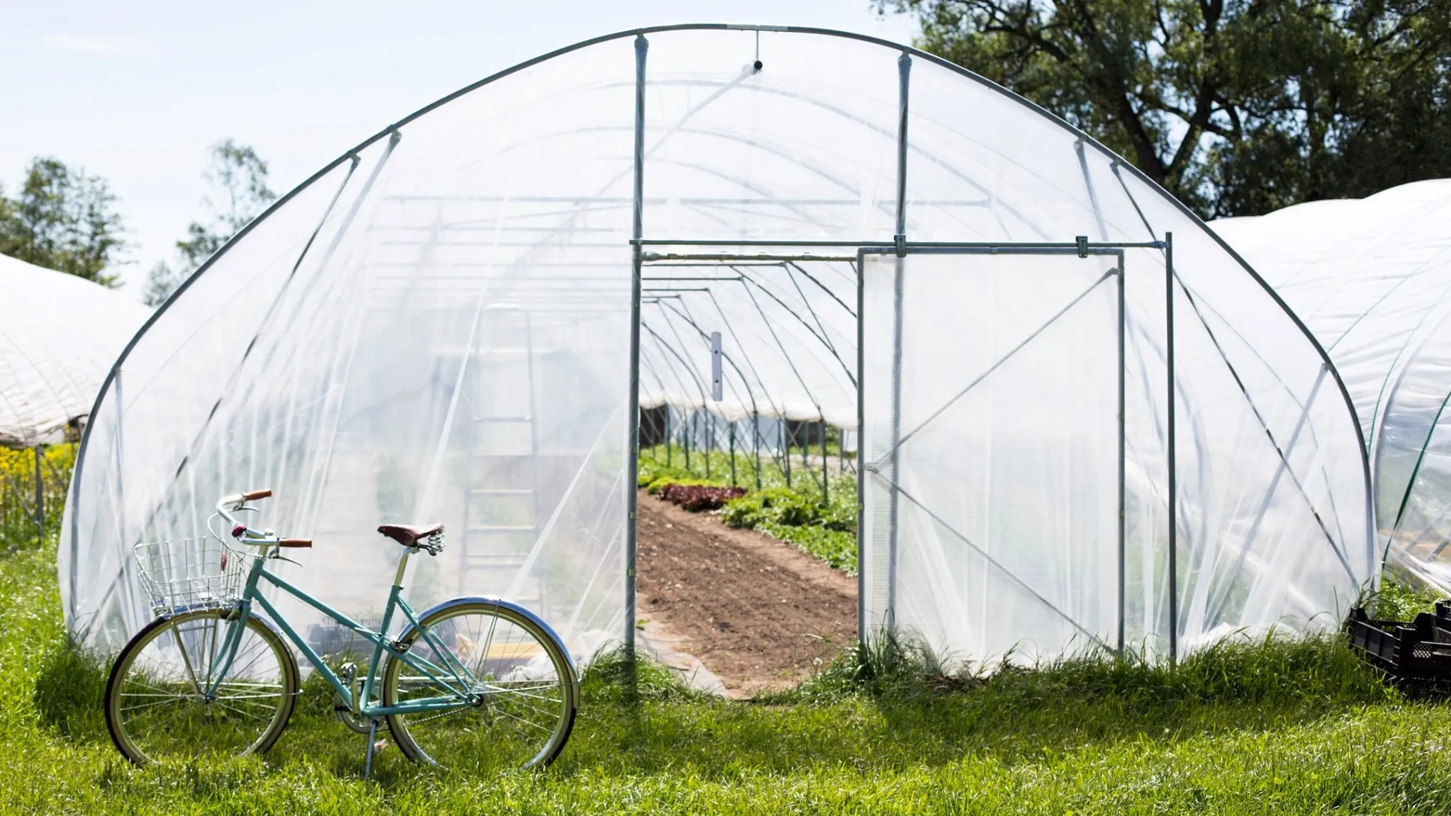 61446689 2232965050126504 4875172907598217216 o