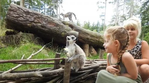 7b4f4405 c8d7 47a9 a741 7641c7d4622b