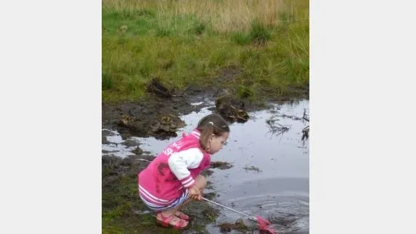 b6a929e8 5b84 40a3 809d 66c457a5ab26