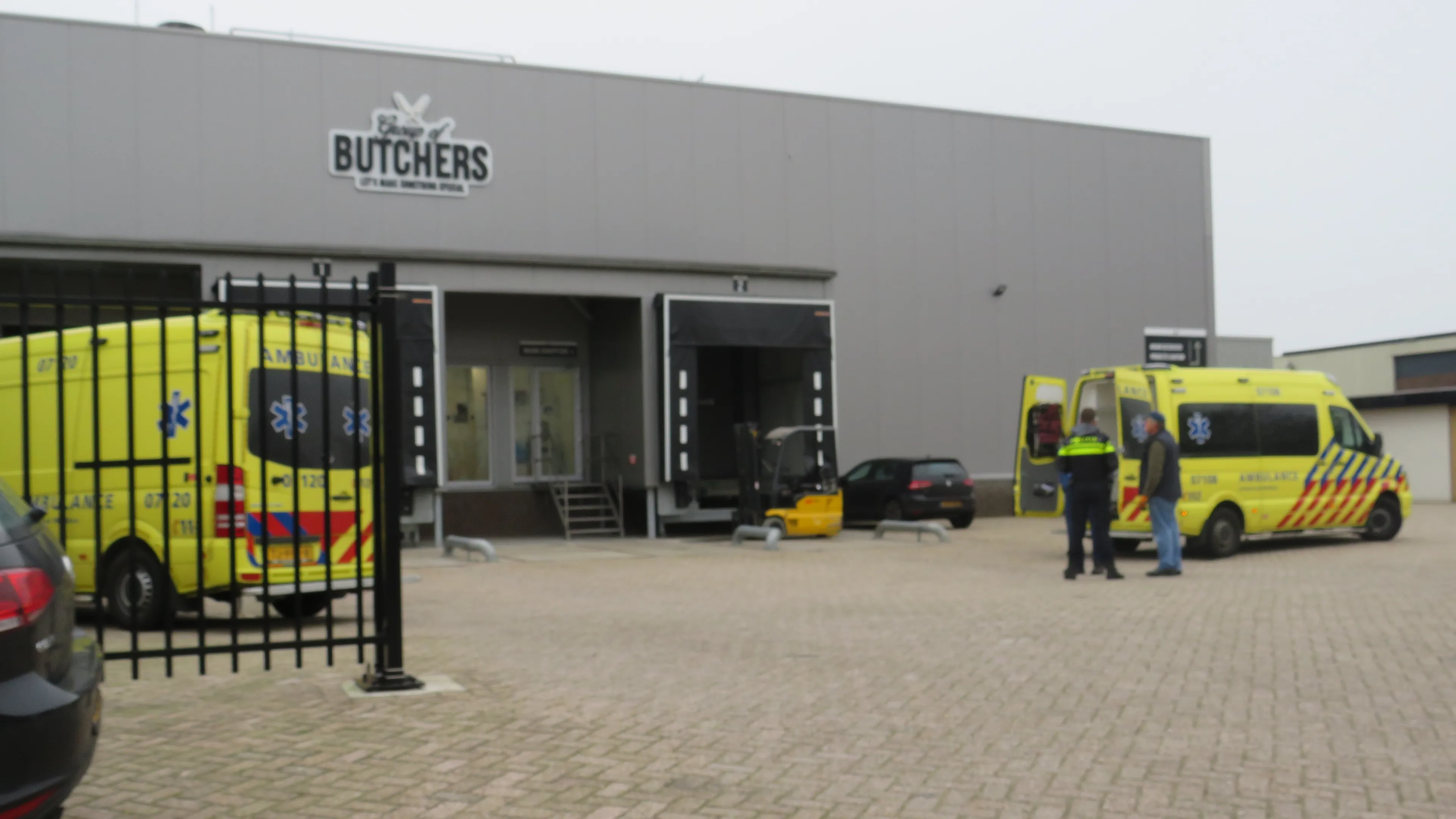 barneveld budgers
