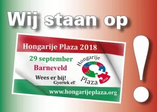 benerbijplazabannerc