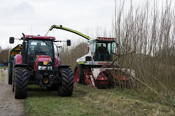 biomassabos recreatiegebied zeumeren
