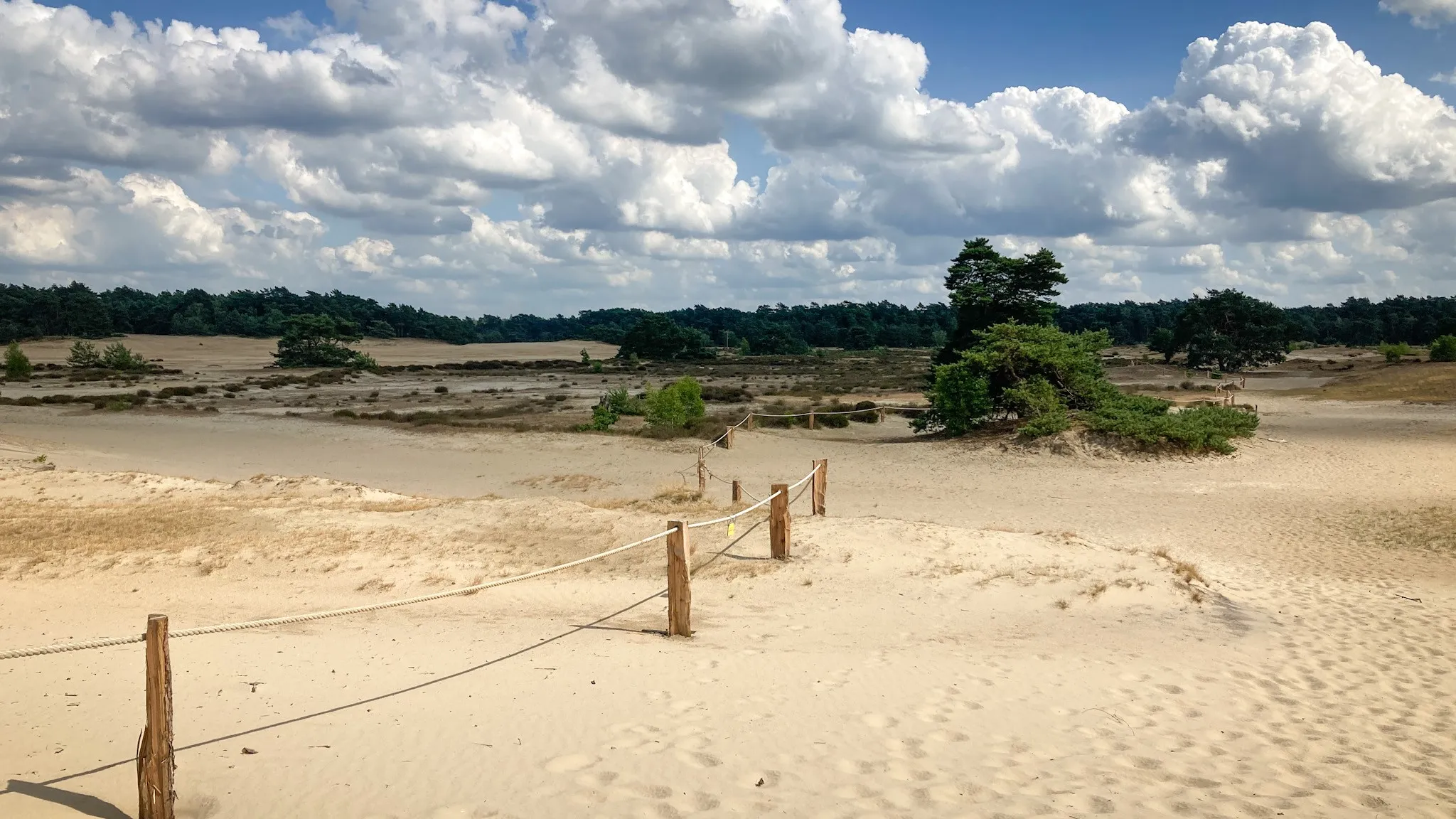 broedseizoenafsluiting hulshorsterzand foto natuurmonumenten 1