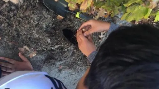 c94854b4 0c7f 440d aaef 33f0ffd77336