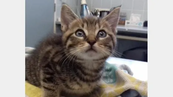 e1b75d23 d2d5 41f7 862d 3b03444af52b