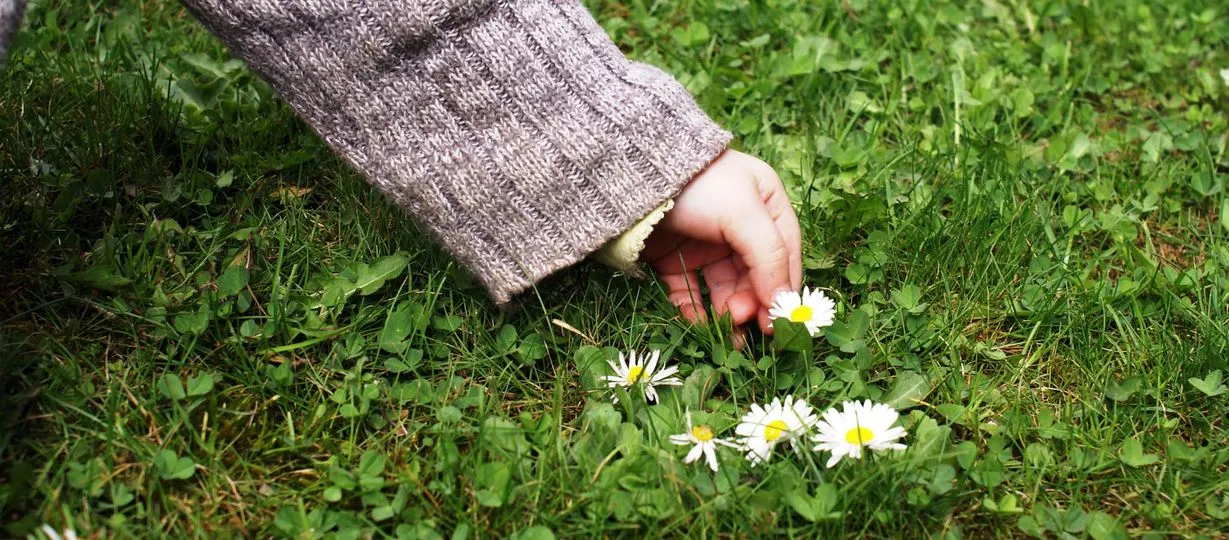 facebook bloemendal nieuwbouw