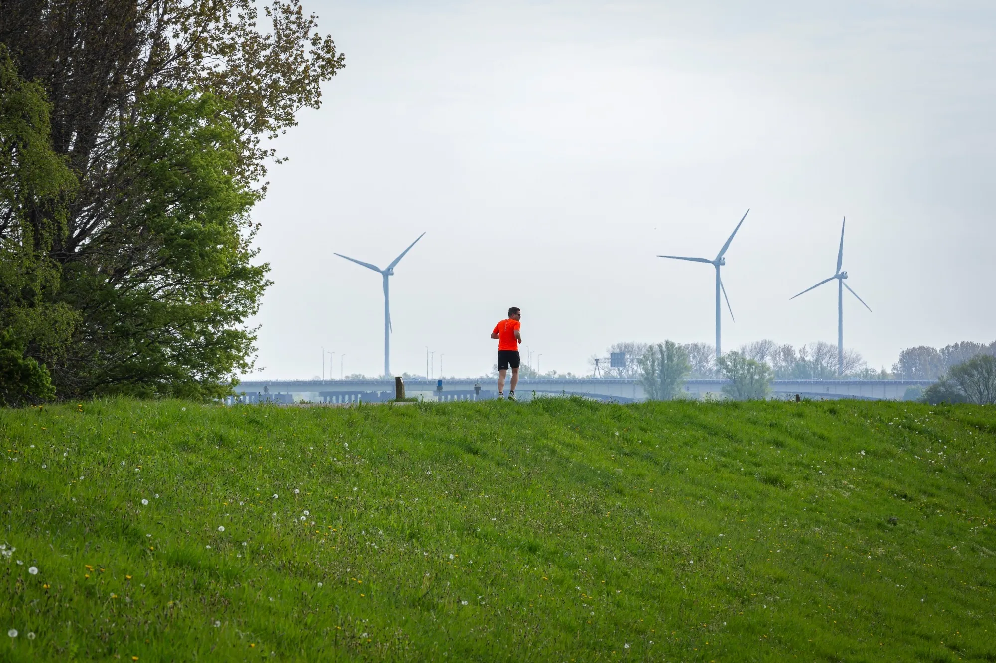 foto bij persbericht wind