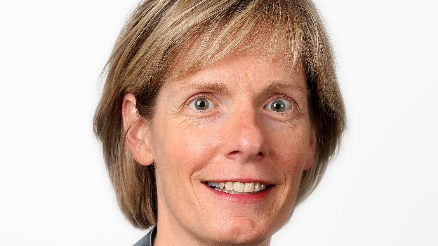 helga witjes gldi