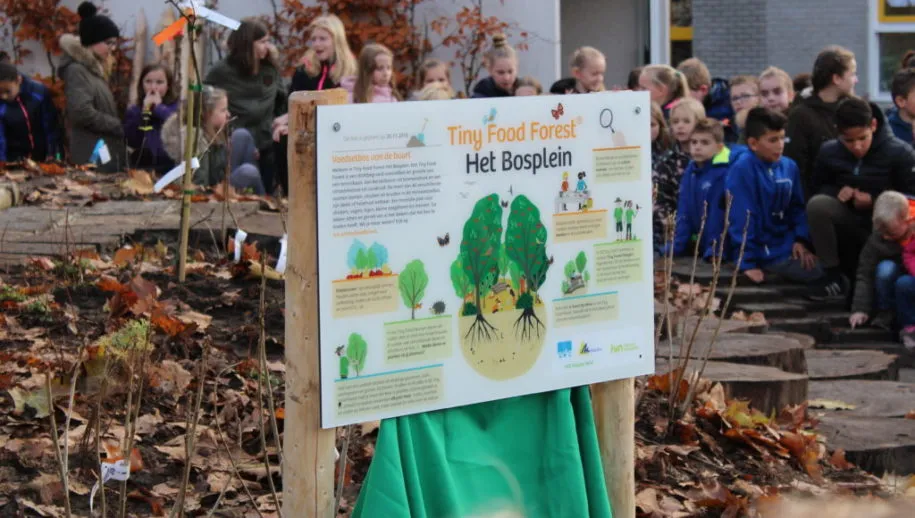 het bosplein het eerste tiny food forest in nederland 1024x683 915x518